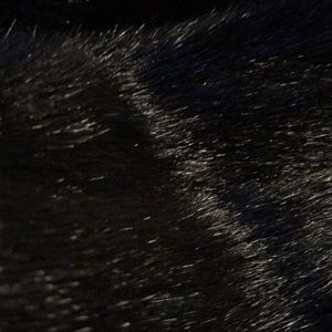 Meet your Posher, Bianca